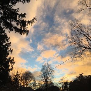 Meet your Posher, Isabella